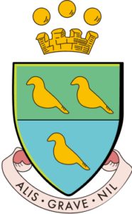 Clarence International School logo