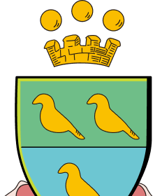 Clarence International School logo