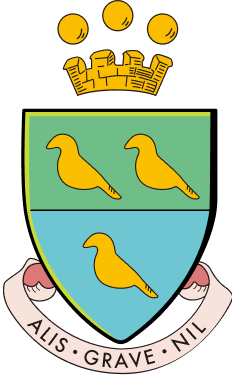 Clarence International School logo