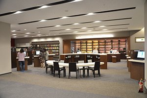 Tamagawa Academy (K-12) & University library